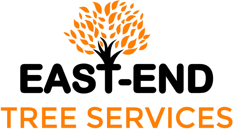 Private & Commercial Tree Services In Essex